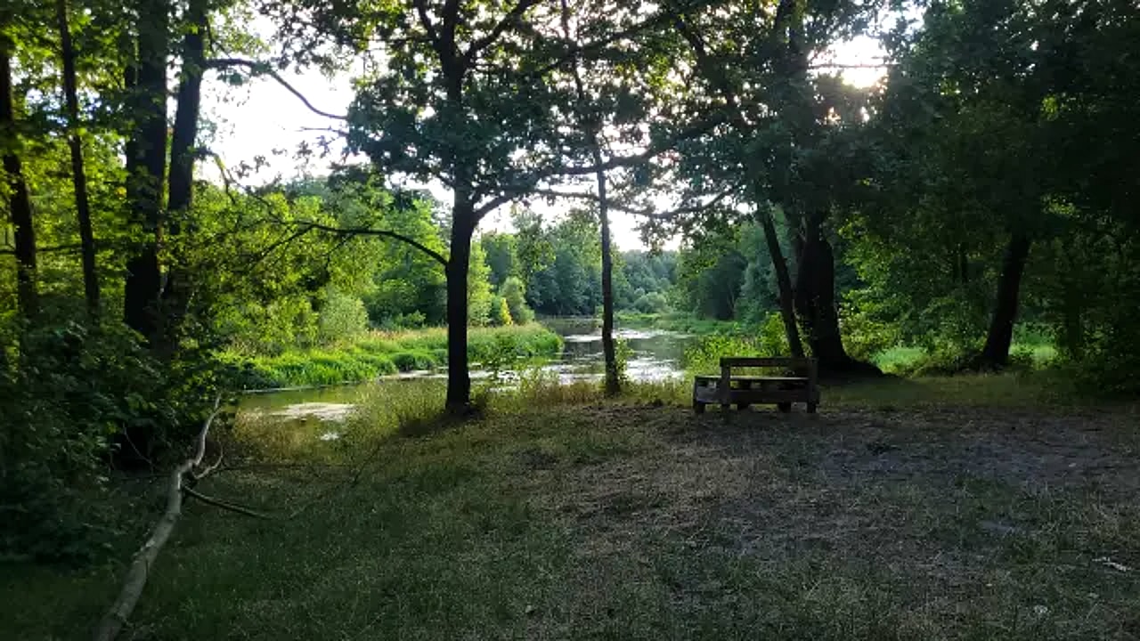 Brzeg Liswarty w Wąsoszu