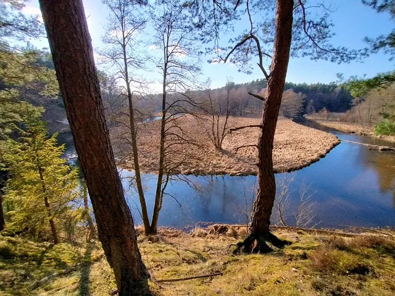 Waldlichtung an der Wda