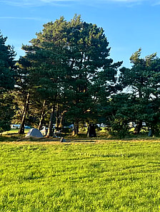 Photo: Clearing near Karwieńskie Błoto