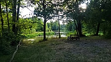 Zdjęcie: Brzeg Liswarty w Wąsoszu