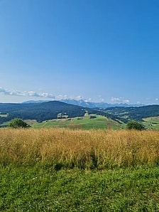 Zdjęcie: Polana w Łapszach Wyżnych