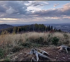 Photo: Clearing in Wapienica under Cybernik