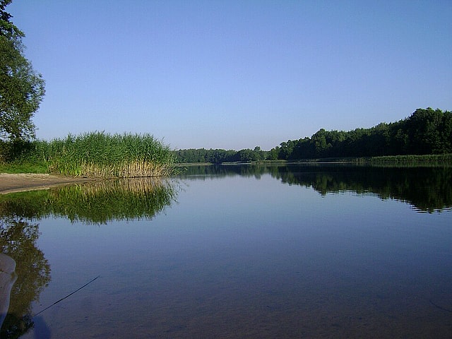 Jezioro Łąkie (gmina Skępe)