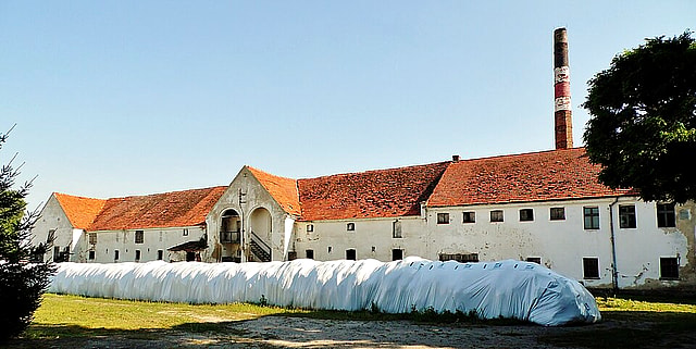 Górzno (powiat leszczyński)