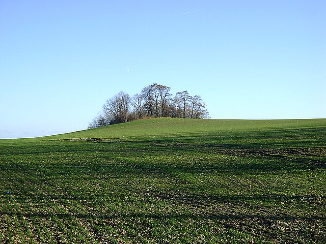 Górzno (wzgórze)