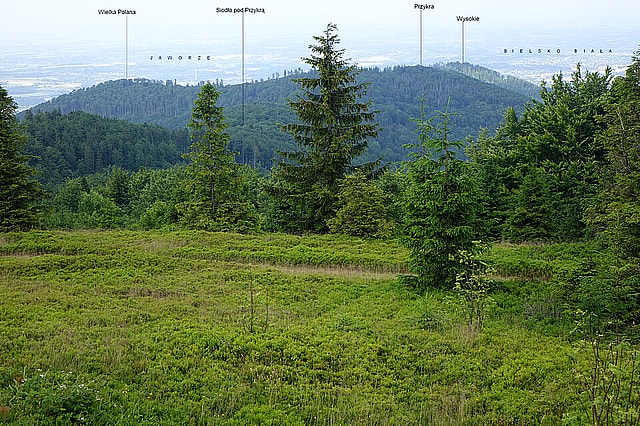 Wielka Polana (Beskid Śląski)