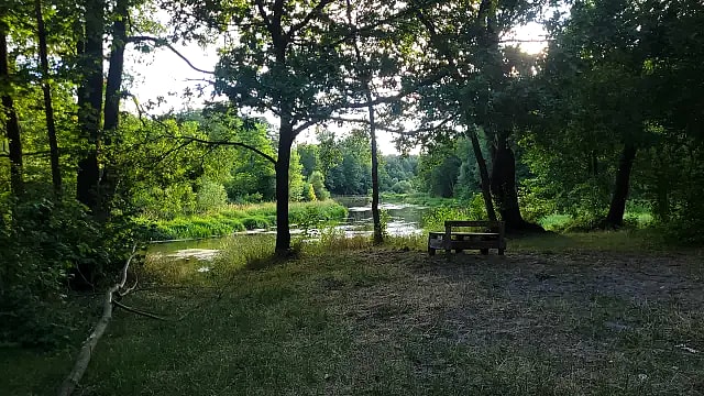 Foto: Brzeg Liswarty in Wąsosz