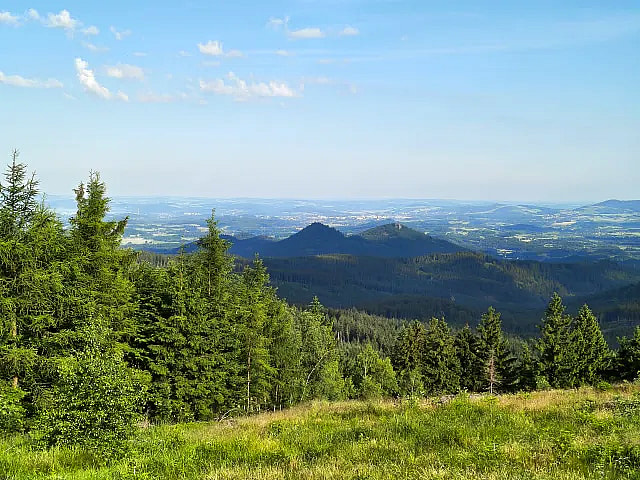Foto: Wiese im Riesengebirge bei Mniszków