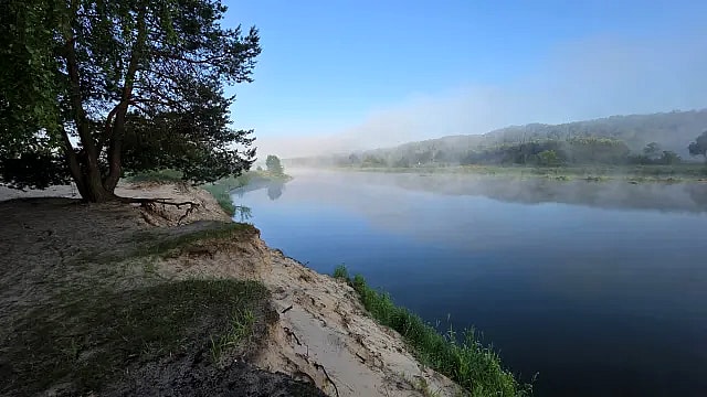Zdjęcie: Polana nad rzeką w Mielniku