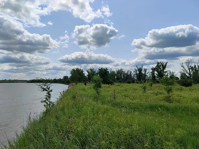 Foto: Die Uferwiese in Podłęcze