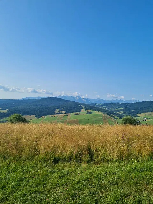 Foto: Polana in Łapsze Wyżne