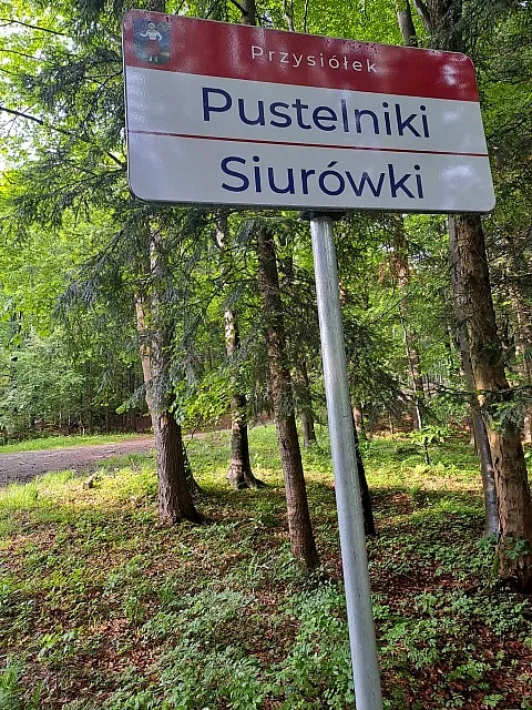 Photo: The clearing in Żywiec under Hucisko