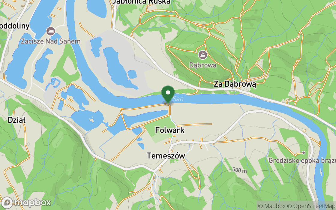 Mapa lokalizacji: Polana nad Sanem w Temeszowie, województwo podkarpackie