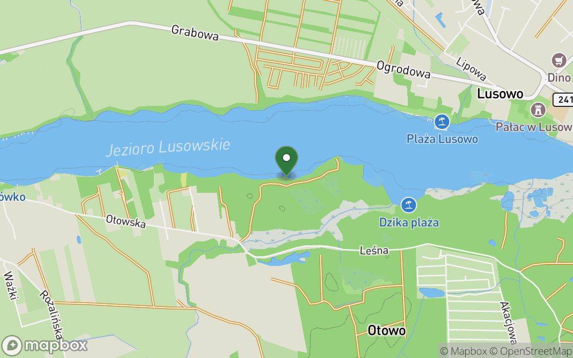 Mapa lokalizacji: Polana nad Jeziorem Lusowskim, województwo wielkopolskie