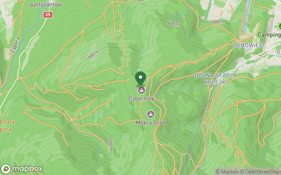 Location map: Clearing in Wapienica under Cybernik, Silesian Voivodeship