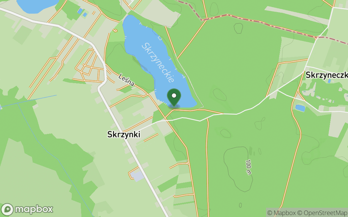 Location map: The shore by Skrzynki, Kuyavian-Pomeranian Voivodeship